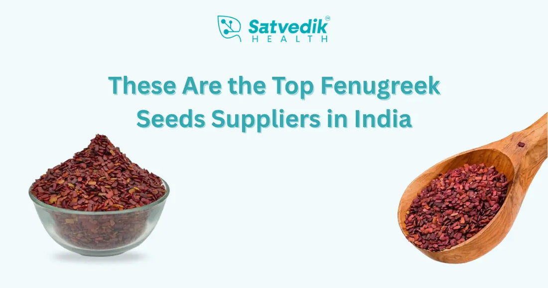 These Are the Top Fenugreek Seeds Suppliers in India